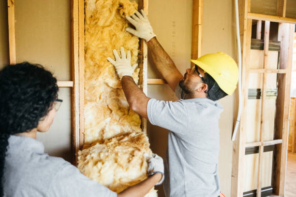 Best Attic Insulation Installation  in La Quinta, CA